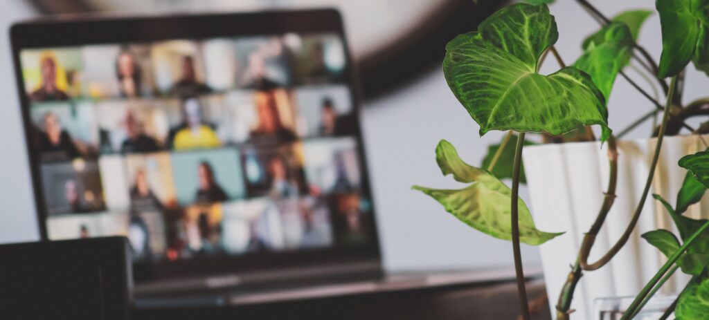 open laptop in a video call with numerous people. A house plant nearby. 